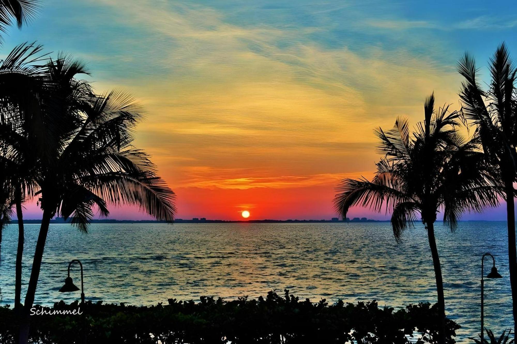 Apartament Luxury Zen Den With Heated Pool Just Off Siesta Key Sarasota Zewnętrze zdjęcie